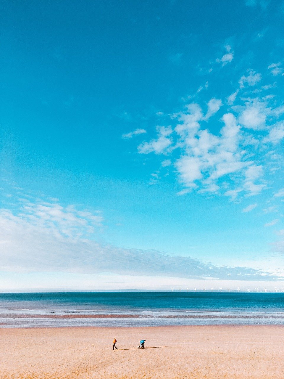 Les prestations de l’agence SEO : l’importance d’une bonne stratégie de référencement