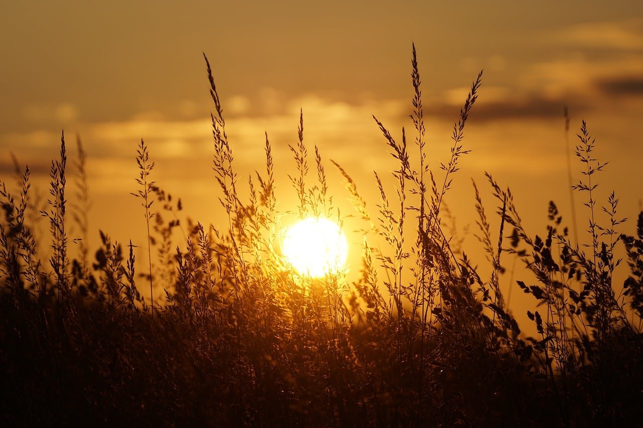 Comment bien choisir son appareil auditif ?